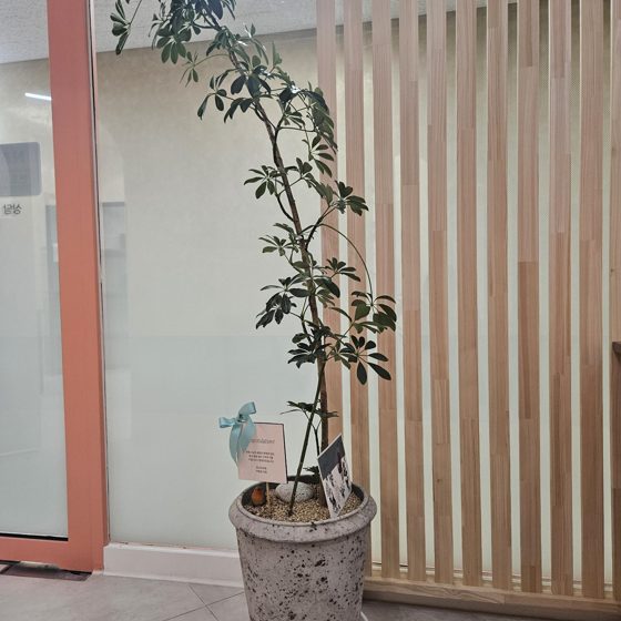 법률사무소 제이 잠실 예약상담 상담공간 내부