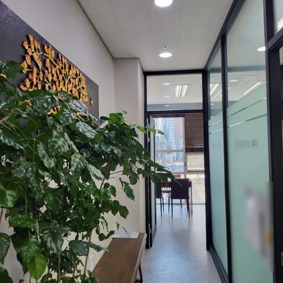 법률사무소 제이 문정 법률사무소 내부 복도